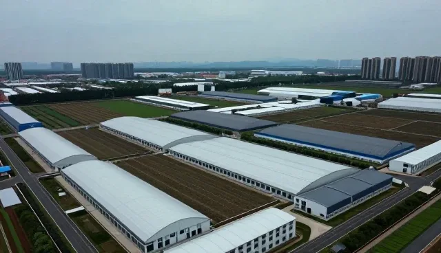 企业选型时财税服务的考量维度与实际应用