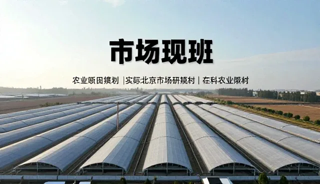 市场调研中的常见理解误区与正确做法
